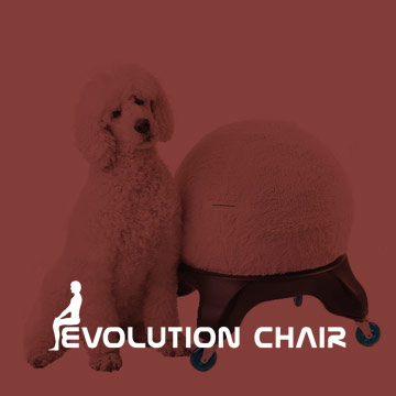 The Evolution Chair